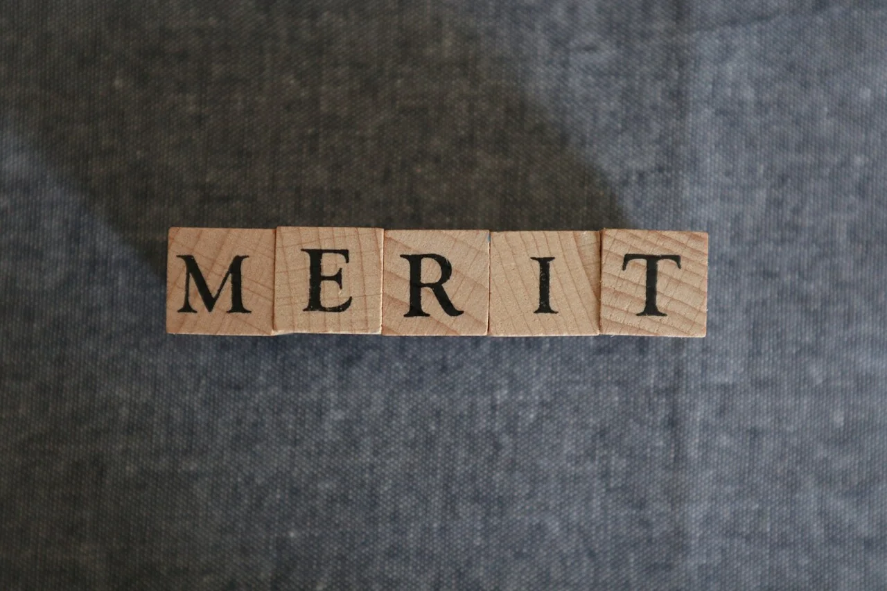 「MERIT」のイメージ_meritとプリントされた木製ブロック