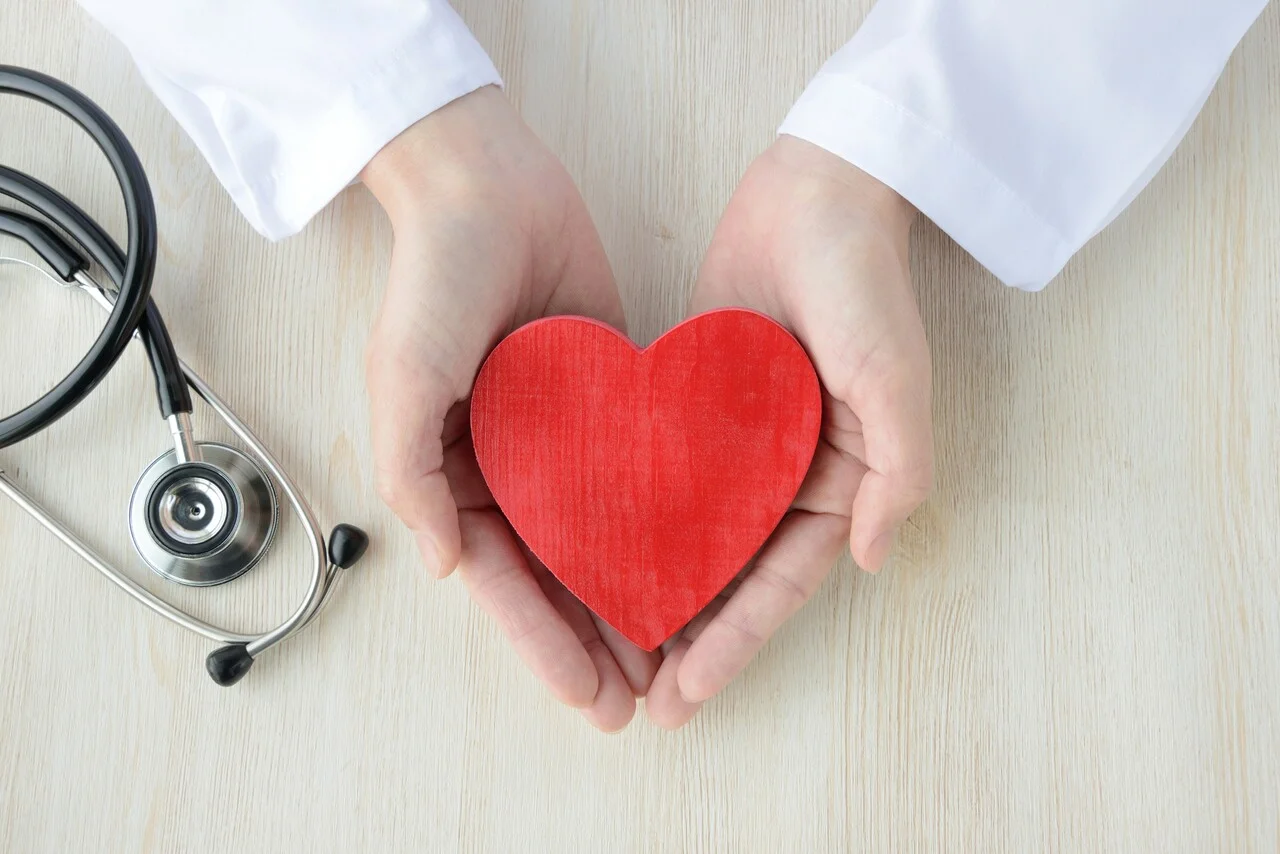 「ヘルスケア」のイメージ_医師の手の上にハートの模型が乗っている様子