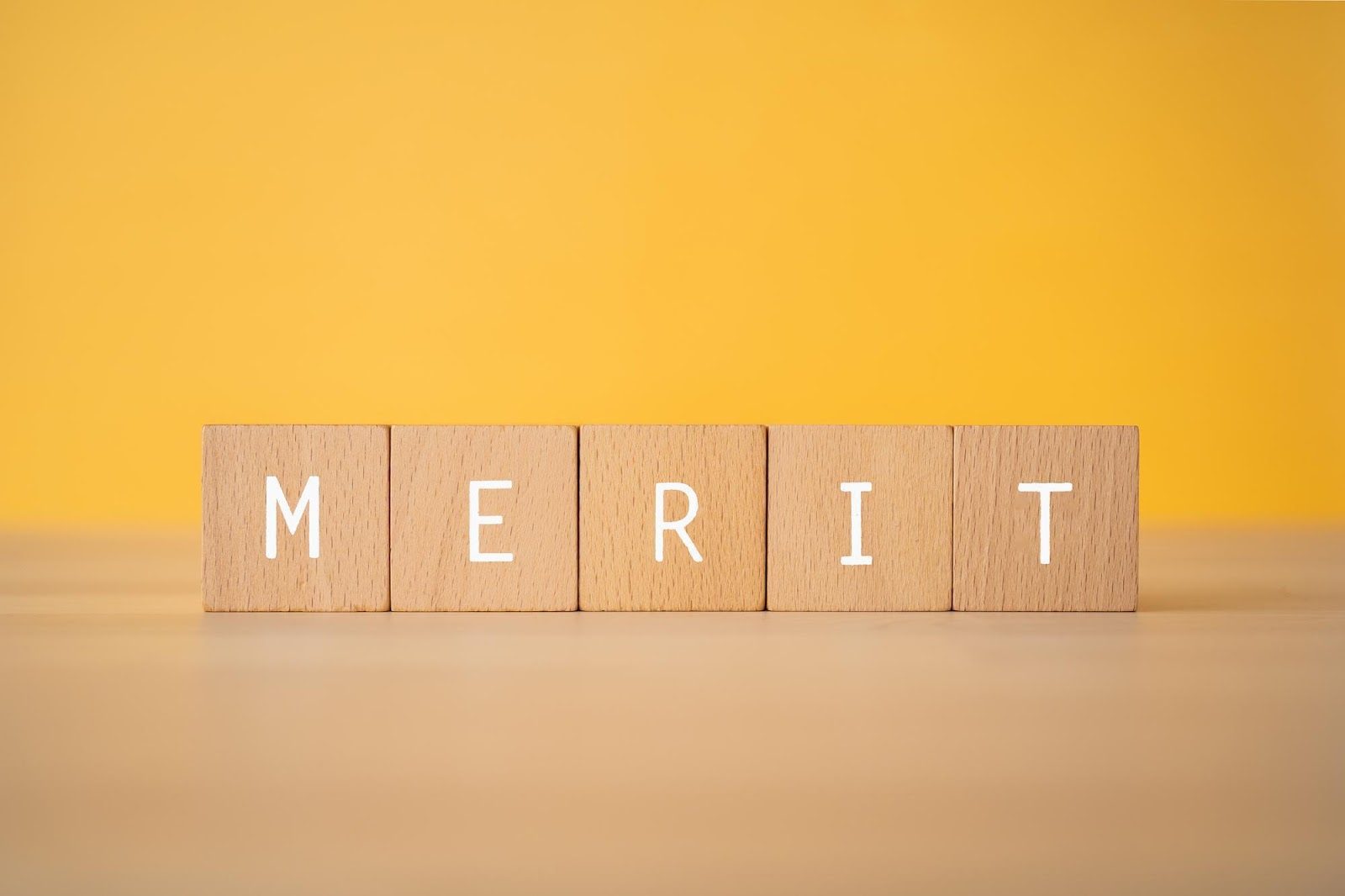 「MERIT」のイメージ_木製ブロックにMERITとプリントされている様子