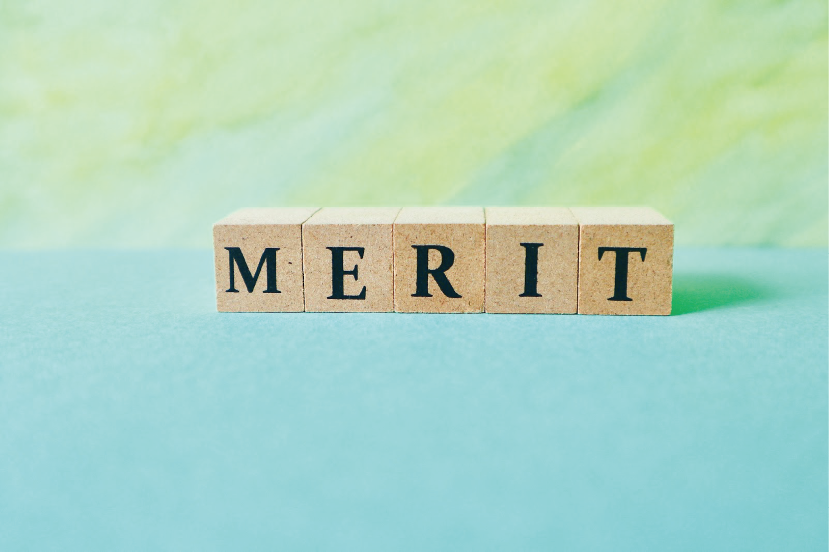 【MERIT】のイメージ_MERITとプリントさせた木製ブロック